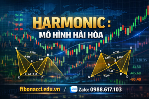 HARMONIC : MÔ HÌNH HÀI HÒA – ABCD