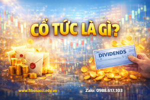 CỔ TỨC A-Z . TẤT CẢ CÁC VẤN ĐỀ LIÊN QUAN ĐẾN CỔ TỨC