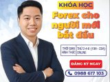 Khóa học Giao dịch ngoại hối cho người mới bắt đầu.