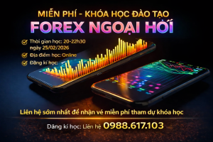MIỄN PHÍ – KHÓA HỌC: ĐÀO TẠO FOREX (THỊ TRƯỜNG NGOẠI HỐI)