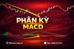XÁC ĐỊNH VÀ ỨNG DỤNG TÍN HIỆU PHÂN KỲ MACD ĐÚNG CHUẨN