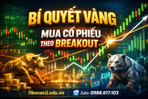 BÍ QUYẾT VÀNG : MUA CỔ PHIẾU THEO BREAKOUT