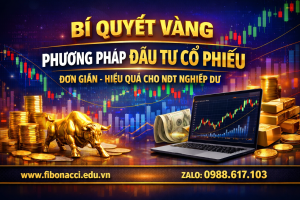 PHƯƠNG PHÁP ĐẦU TƯ CỔ PHIẾU ĐƠN GIẢN HIỆU QUẢ CHO NĐT NGHIỆP DƯ