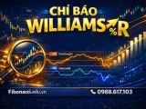 CHỈ BÁO WILLIAMS R LÀ GÌ? CÁCH DÙNG WILLIAMS %R ĐỂ BẮT ĐIỂM MUA BÁN CHÍNH XÁC