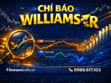 CHỈ BÁO WILLIAMS R LÀ GÌ? CÁCH DÙNG WILLIAMS %R ĐỂ BẮT ĐIỂM MUA BÁN CHÍNH XÁC