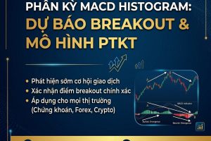 PHÂN KỲ MACD HISTOGRAM: DỰ BÁO BREAKOUT & MÔ HÌNH PTKT